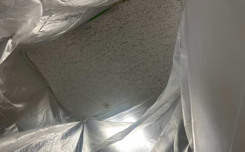 天井材の調査は「慎重さ」が最重要