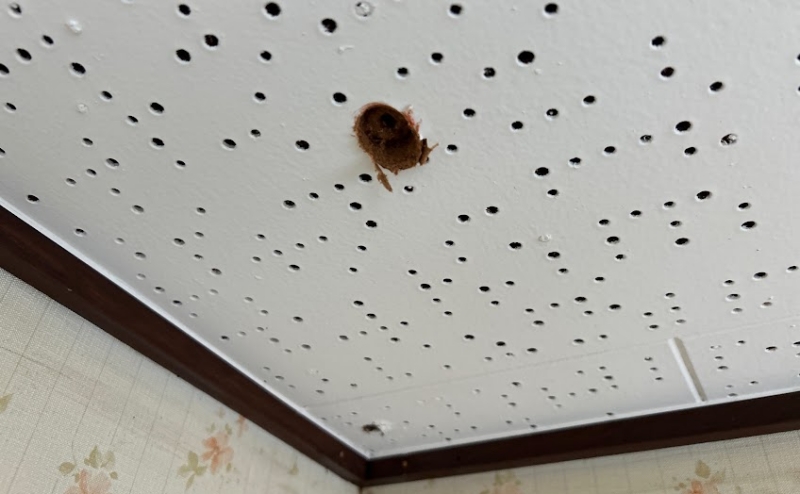 必要な建材を採取